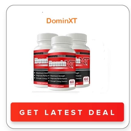 DominXT DominXT